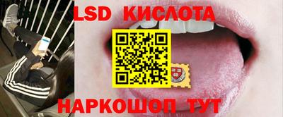 гидропоника Шебекино
