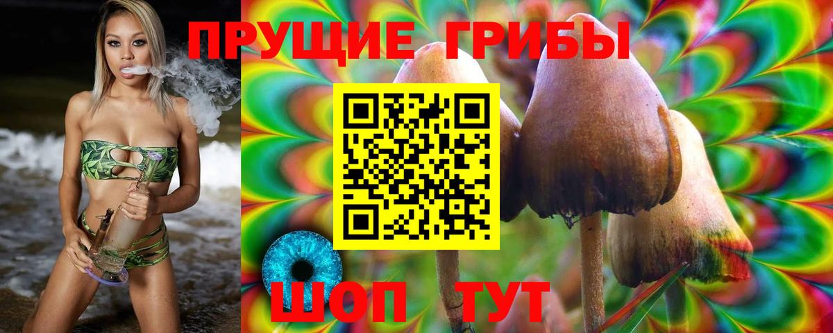 Галлюциногенные грибы прущие грибы  Вход с VPN  Магнитогорск  Псилоцибиновые грибы Magic Shrooms 